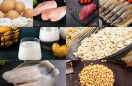 十大补蛋白食谱（补蛋白最快的十种食物和蔬菜做法）