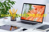 pdf插入到文档里（pdf怎么导入文档中）