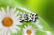 难忘一件事300字优秀作文（三年级难忘的一件事300字）