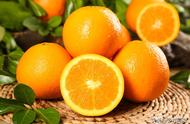 柳橙和脐橙的区别图片（柳橙和橙子的区别）