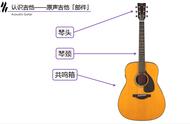 吉他的结构示意图（吉他的基本结构）
