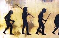 人的进化15个阶段图（生命进化树图解）