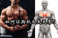 锻炼胸肌的十大方法（锻炼胸肌最快的方法高级）