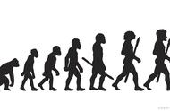 人类起源的演化过程一书讲的什么（人类起源的演化过程讲了什么道理）