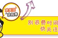 左高右低的字100个（左高右低的字有哪些）