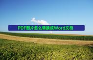 图片版的pdf如何转word（图片版pdf怎么免费转化为word）