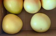 长期吃柚子会发胖吗（坚持吃柚子会长胖吗）