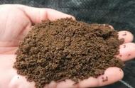 兔粪可以直接覆土当肥料使用吗（兔粪晒干可以直接施肥）