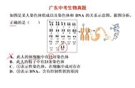高中生物dna结构图（高中生物dna知识框架图）