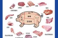 菜猪与普通猪怎么区分
