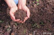 种菜营养土的自制方法（30升营养土等于30斤土吗）