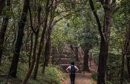 南京十大高山排名（南京十大高山海拔排名）