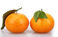 怎样区分橙子和桔子
