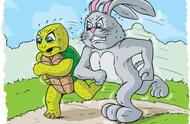 乌龟和兔子告诉我们什么道理（兔子与青蛙告诉我们什么道理）