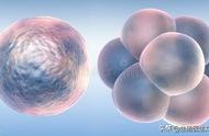冷冻胚胎能保存多少年（冷冻胚胎保存6年还有用吗）