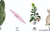 所有生物由什么构成（生物包括哪三种生物）