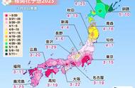 日本樱花开放地点时间（日本樱花一般几月份开放时间）