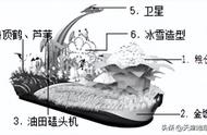 地理题秋裤分布的主要因素（区域地理地势与气候的关系）