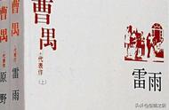 雷雨话剧感悟600字（雷雨话剧读后感800字）