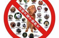各省禁养犬名单（中国北方禁养犬名单）