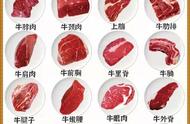 牛肉哪个部位最好吃图解（最详细牛肉部位分割图）