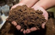泥炭土是不是土里最不好的一种土（泥炭土的优缺点和坏处）
