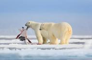 北极熊是不是快灭绝了（北极熊快要灭绝了怎么办）