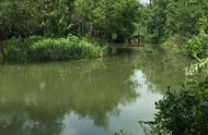 杭州西溪国家湿地公园几个入口（杭州西溪国家湿地公园值得去吗）
