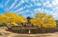 手机拍摄技巧风景照片（手机自然风景拍摄技巧图片）