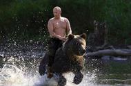 俄罗斯人为什么不怕熊（俄罗斯的人为什么不怕熊）
