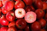 吃苹果减肥法瘦10斤（光吃苹果一周能瘦几斤）