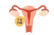正常的子宫内膜多少可以怀孕（子宫内膜多少能容易怀孕）