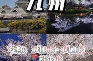 日本九州樱花开放时间顺序（日本各个地区樱花开放时间不同）