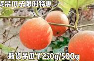 500g吊瓜子价格（吊瓜子的价格）