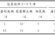 榆叶梅叶芽怎么养（榆叶梅叶子干枯的四季养护方法）