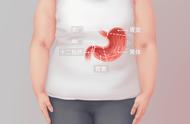 胃窦在胃的什么位置上面还是下面（胃窦的位置图在哪个部位）