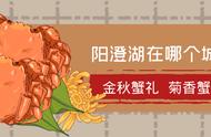 阳澄湖是在哪个省份（阳澄湖在哪个省哪个市）