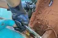 挖掘机更换液压油视频教程（挖掘机怎么彻底更换液压油）