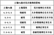 酸性土壤养花配方改良（养花酸性土壤改良的最佳方法）