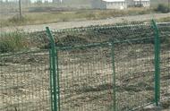 养殖网围栏带立柱（养殖专用围栏网价格）