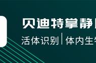 身份认证技术有哪几类（身份认证的技术手段有哪几个）