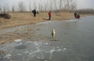 冬天钓鱼水温多少最好（钓鱼最佳时间和水温）