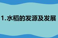 为什么东北的大米比南方好吃（为什么东北大米比平常吃的好吃）