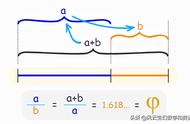 黄金比例是怎么算出来的（黄金比例一分为三怎么分）
