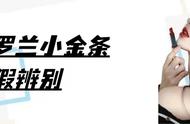 口红真假辨别技巧（怎么辨别口红真假的正确方法）