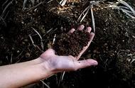 为什么说土壤是最珍贵的自然资源（为什么说土壤是重要的自然资源）