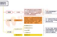 肺免疫组化方法（肺免疫组化结果数据参照对照表）