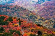 北京西山公园游玩攻略（北京西山公园简介）