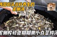 鱼缸养黄金泥鳅可以用白盐吗（鱼缸养泥鳅的正确方法和技巧）