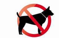 威海禁养犬名单2022（威海最新禁养犬名单）